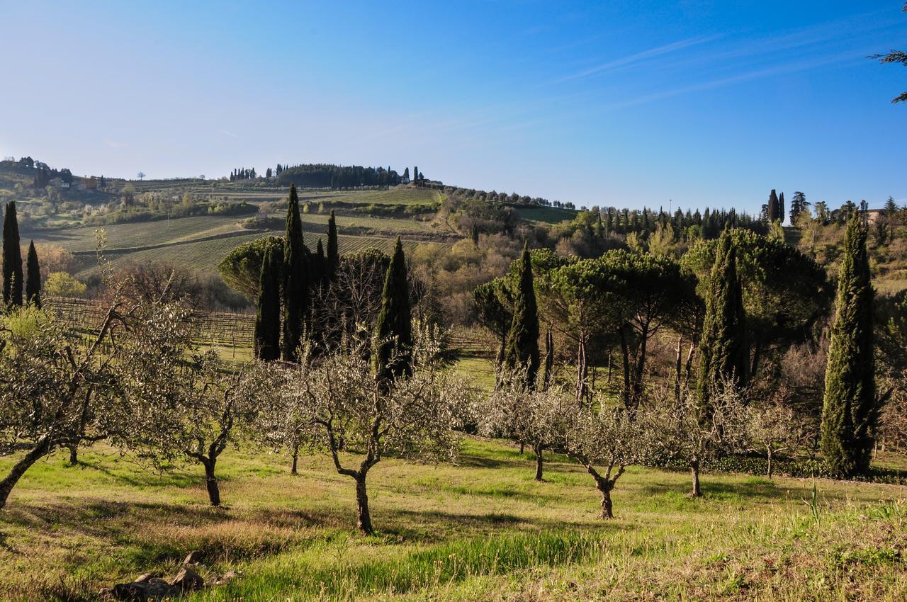 B&B Fagiolari Greve in Chianti Buitenkant foto